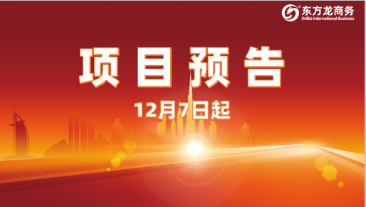 狠抓投資選址項(xiàng)目促實(shí)效！12月7日起，21家優(yōu)質(zhì)企業(yè)精準(zhǔn)對(duì)接全國(guó)政府園區(qū)