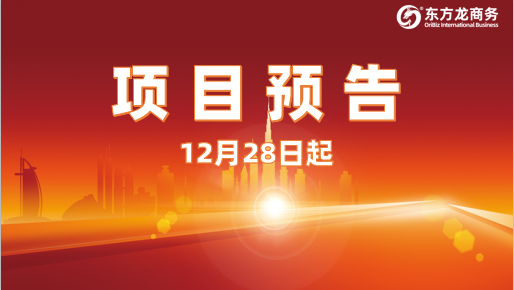 堅(jiān)持高水準(zhǔn)開發(fā)，高質(zhì)量對(duì)接！12月28日起，25家優(yōu)質(zhì)投資選址企業(yè)精準(zhǔn)對(duì)接全國(guó)政府園區(qū)