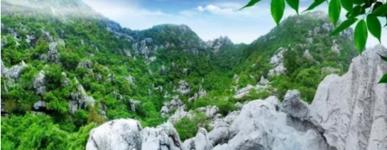 政府委托招商合作丨全力助推浙江衢州常山縣傳統(tǒng)產(chǎn)業(yè)加快升級，新興產(chǎn)業(yè)異軍突起